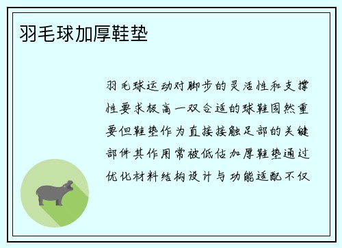 羽毛球加厚鞋垫