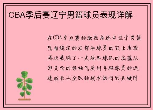 CBA季后赛辽宁男篮球员表现详解